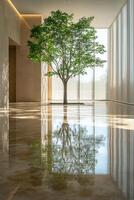 A solitary tree stands in a modern room with large windows, illuminated by soft golden light photo
