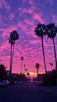 Vibrant sunset view with palm trees lining a quiet street in California during twilight hours photo