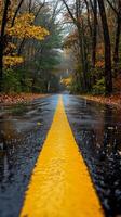 A winding road through a colorful forest during a rainy autumn afternoon photo
