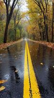 A winding road through a colorful forest during a rainy autumn afternoon photo