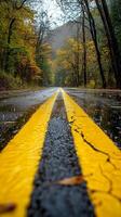 A winding road through a colorful forest during a rainy autumn afternoon photo