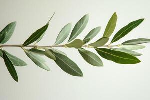 Fresh green bay leaves arranged on a light background showcasing natural textures and hues photo