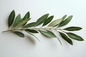 Fresh green bay leaves arranged on a light background showcasing natural textures and hues photo
