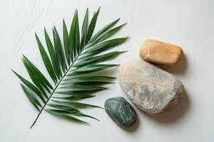 Natural arrangement of smooth stones and green palm leaves on a light background photo