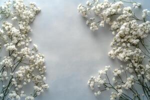 Delicate white baby breath flowers arranged gracefully in a minimalist setting photo