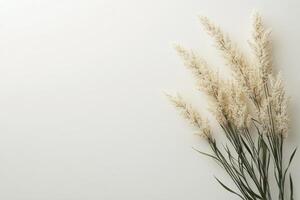 Soft white decorative flowers arranged elegantly against a neutral background photo