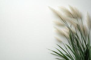 Soft white decorative flowers arranged elegantly against a neutral background photo