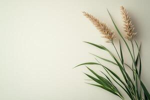 Soft white decorative flowers arranged elegantly against a neutral background photo