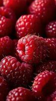 Fresh raspberries piled together in a vibrant arrangement highlighting their rich red color photo
