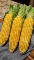 Freshly harvested corn cobs arranged on a kitchen countertop with green husks and kernels visible photo