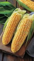 Freshly harvested corn cobs arranged on a kitchen countertop with green husks and kernels visible photo