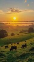 Cows grazing peacefully on lush green hills at sunset near a tranquil river photo