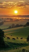 Cows grazing peacefully on lush green hills at sunset near a tranquil river photo