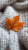 A vibrant orange leaf resting on a cozy cream colored knitted sweater during autumn photo