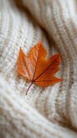 A vibrant orange leaf resting on a cozy cream colored knitted sweater during autumn photo