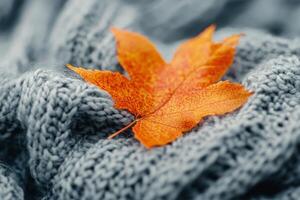 Fall leaf resting on a cozy knit sweater in warm tones during autumn photo
