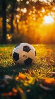 A soccer ball rests on colorful leaves as sunlight creates a warm golden atmosphere photo