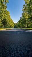 Serene tree lined road beckoning peaceful walks in a sunny park setting during afternoon hours photo