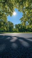 Serene tree lined road beckoning peaceful walks in a sunny park setting during afternoon hours photo