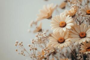 Delicate peach gerbera daisies arranged gracefully on a soft white surface in the morning light photo