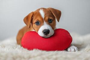 Cute puppy resting on a red cushion in a cozy indoor setting during the day photo