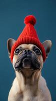 A playful dog wearing a party hat and blowing a horn against a blue background photo