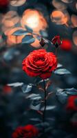Red roses adorned with hearts and sparkles on a dark background for romantic occasions photo