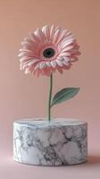 A single pink gerbera daisy in a marble pot against a soft pink background in bright light photo
