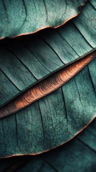 Close up of green leaves highlighting intricate textures and patterns in natural light photo