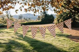 Colorful decorative flags hanging from a tree in a sunny garden during late afternoon photo