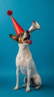 A playful dog wearing a party hat and blowing a horn against a blue background photo