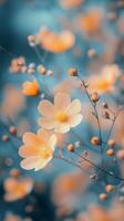 Delicate orange flowers bloom in springtime with soft sunlight illuminating their petals photo