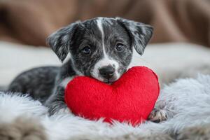 Cute puppy resting on a red cushion in a cozy indoor setting during the day photo