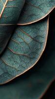 Close up of green leaves highlighting intricate textures and patterns in natural light photo