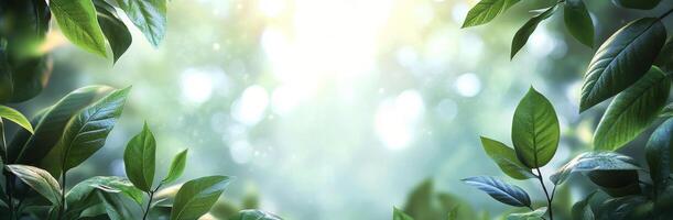Green leaves framing soft light in a serene natural setting during daylight hours photo