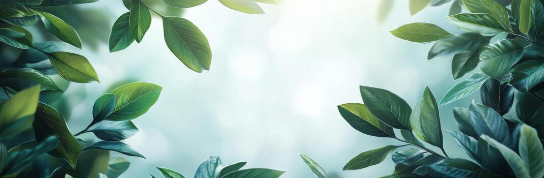 Green leaves framing soft light in a serene natural setting during daylight hours photo