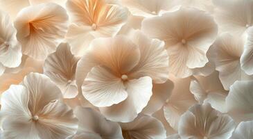 Elegant white flowers in soft focus creating a serene and delicate ambiance indoors photo