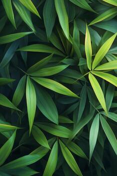 Lush green bamboo leaves creating a vibrant natural backdrop under soft daylight photo