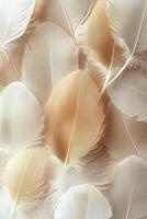 Delicate white and beige feathers arranged in a soft, textured pattern on a neutral background photo