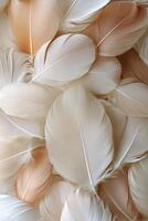 Delicate white and beige feathers arranged in a soft, textured pattern on a neutral background photo