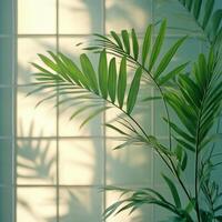 Lush green tropical plants casting shadows on a light colored wall during daylight hours photo
