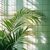 Lush green tropical plants casting shadows on a light colored wall during daylight hours photo