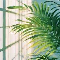 Lush green tropical plants casting shadows on a light colored wall during daylight hours photo