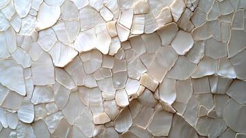 Close up of iridescent shell fragments in soft natural daylight on a surface photo