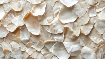 Close up of iridescent shell fragments in soft natural daylight on a surface photo