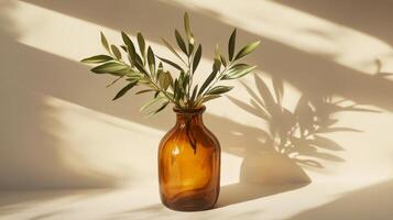 Olive branches in a brown glass vase casting delicate shadows in sunlight photo