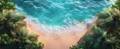 Tranquil tropical beach with clear waters and dense palm trees during daylight photo