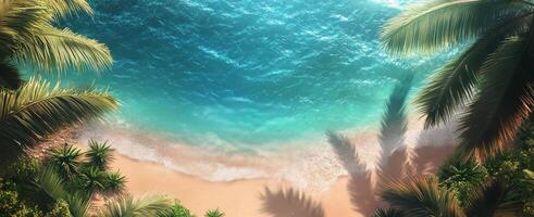 Tranquil tropical beach with clear waters and dense palm trees during daylight photo