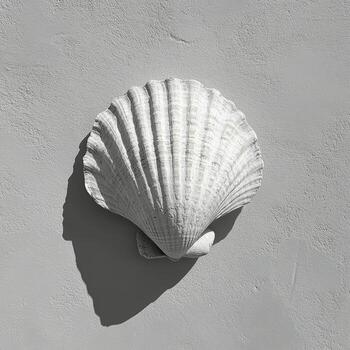 Decorative clam shell affixed to a textured stone wall in natural light during the day photo