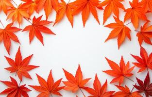 Autumn leaves in shades of red and orange arranged on a white background during fall season photo